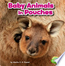 Baby Animals in Pouches cover