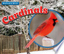 Cardinals cover