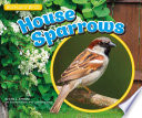 House Sparrows cover