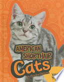 American Shorthair Cats cover