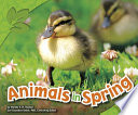 Animals in Spring cover