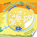 From Mealworm to Beetle: Following the Life Cycle cover