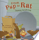 From Pup to Rat: Following the Life Cycle cover
