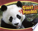 Giant Pandas cover