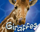 Giraffes cover