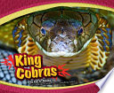 King Cobras cover