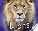 Lions cover