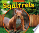 Squirrels cover