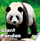 Giant Pandas cover