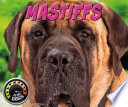 Mastiffs cover