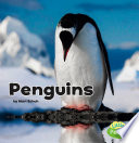 Penguins cover