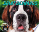 Saint Bernards cover
