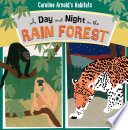 A Day and Night in the Rain Forest cover