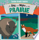 A Day and Night on the Prairie cover