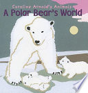 A Polar Bear's World cover