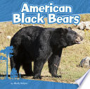 American Black Bears cover