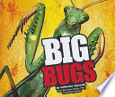 Big Bugs cover