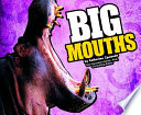 Big Mouths cover