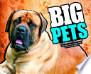 Big Pets cover