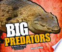 Big Predators cover