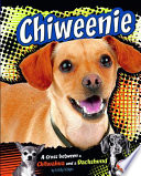 Chiweenie: A Cross Between a Chihuahua and a Dachshund cover