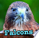 Falcons cover