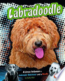 Labradoodle: A Cross Between a Labrador Retreiver and a Poodle cover