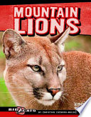 Mountain Lions cover