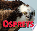 Ospreys cover