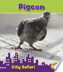 Pigeon cover