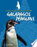 Galapagos Penguins cover