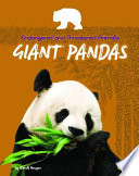 Giant Pandas cover