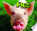 Pigs cover