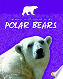 Polar Bears cover