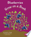 Blueberries Grow on a Bush cover