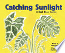 Catching Sunlight: A Book About Leaves cover