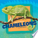Get to Know Chameleons cover