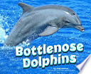 Bottlenose Dolphins cover