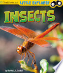 Insects cover