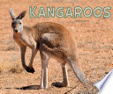 Kangaroos cover