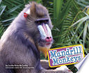 Mandrill Monkeys cover