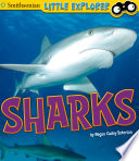Sharks cover