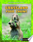 Grassland Food Chains cover