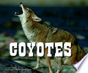 Coyotes cover