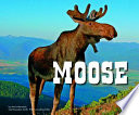 Moose cover
