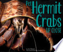 Pet Hermit Crabs Up Close cover