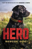 Hero cover