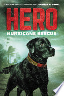 Hero: Hurricane Rescue cover