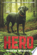 Hero: Rescue Mission cover