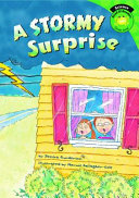 A Stormy Surprise cover